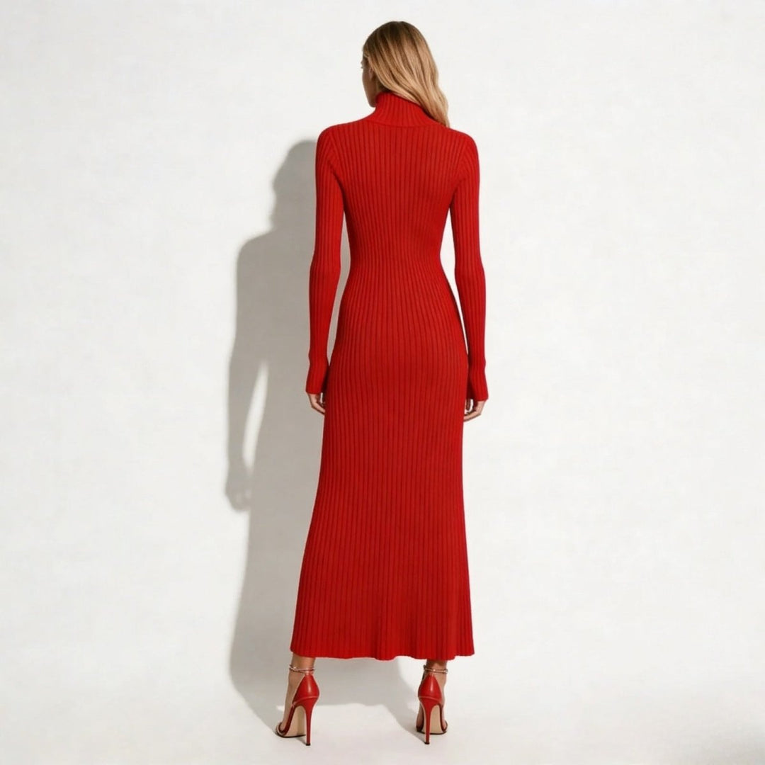 Dianelle | Pleated Turtleneck Knit Midi Dress